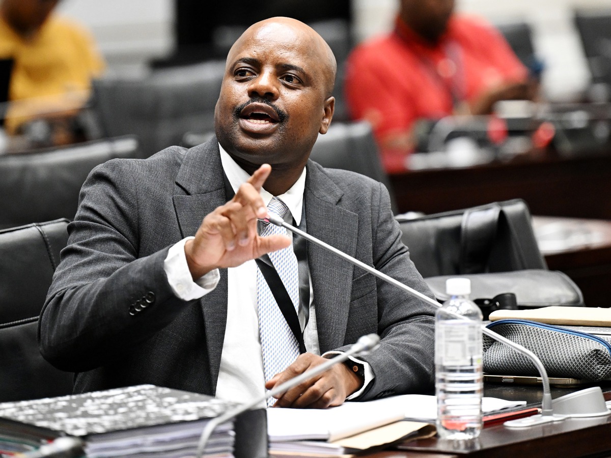 Mkhwanazi shares his bromance with 'Cat' Matlala before Parliament