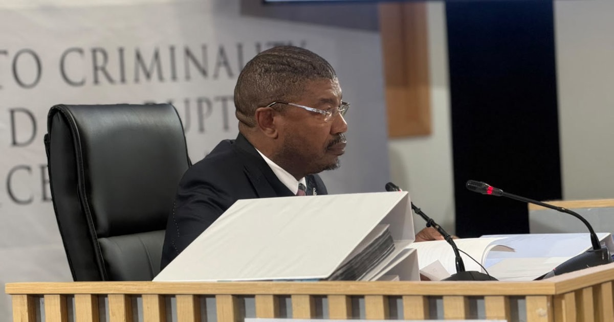 Madlanga Commission told it was odd for IDAC to report to Mcunu on key investigations