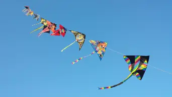 CT International Kite Festival takes to skies at Youngsfield Military Base CT International Kite Festival takes to skies at Youngsfield Military Base