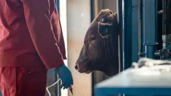 'It's a long way still to go, this is just the beginning' - John Steenhuisen 'It's a long way still to go, this is just the beginning' - John Steenhuisen