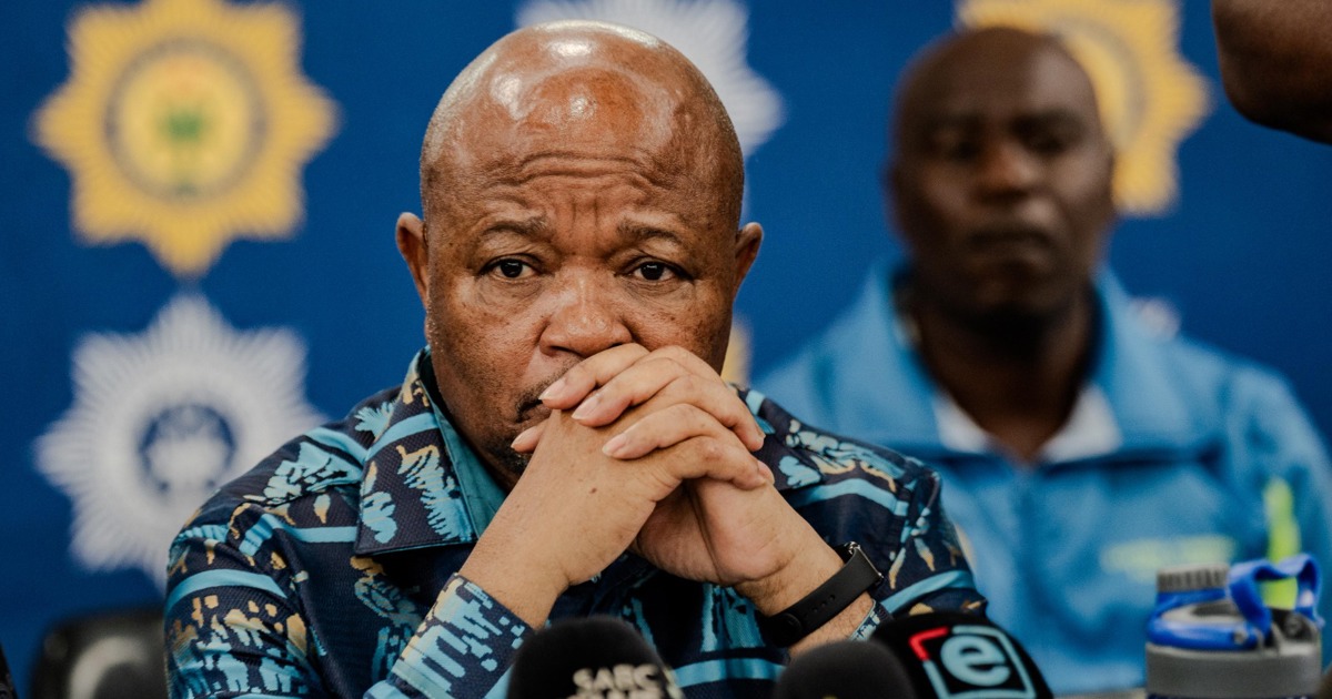 Mchunu soll vor der Madlanga-Kommission erscheinen