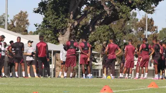 Fredericks believes Stellenbosch can be considered trophy favourites as Nedbank Cup reaches quarter-final stage Fredericks believes Stellenbosch can be considered trophy favourites as Nedbank Cup reaches quarter-final stage