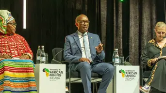 Govt reviewing trade partnerships to prevent export of minerals without meaningful benefits to SA Govt reviewing trade partnerships to prevent export of minerals without meaningful benefits to SA