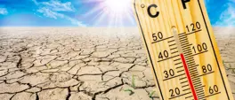 Mercury rising: Capetonians 'melt' as temperatures soar over 40 Mercury rising: Capetonians 'melt' as temperatures soar over 40
