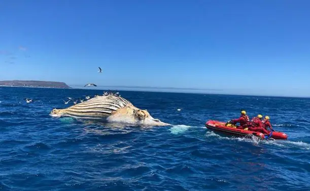 Picture: City of Cape Town Picture: City of Cape Town