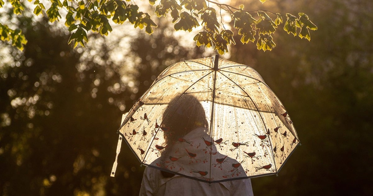Thunderstorms, high humidity to continue into January, says SA Weather Service