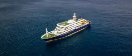 Three die on Atlantic cruise ship from suspected hantavirus: WHO Three die on Atlantic cruise ship from suspected hantavirus: WHO