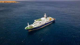 Three die on Atlantic cruise ship from suspected hantavirus: WHO Three die on Atlantic cruise ship from suspected hantavirus: WHO