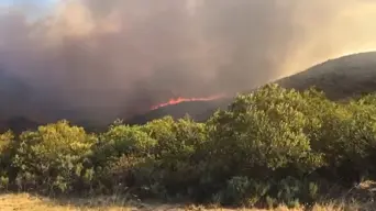 Wind, high temperatures hampering firefighting efforts in Wellington Wind, high temperatures hampering firefighting efforts in Wellington