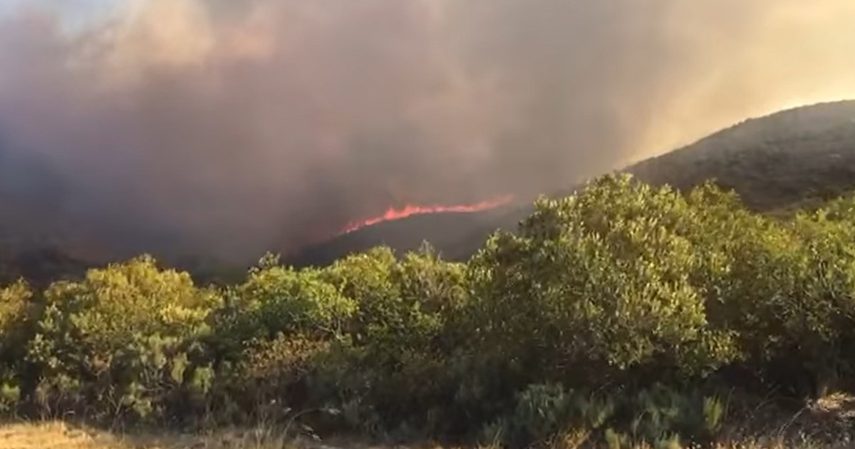 Wind, high temperatures hampering firefighting efforts in Wellington