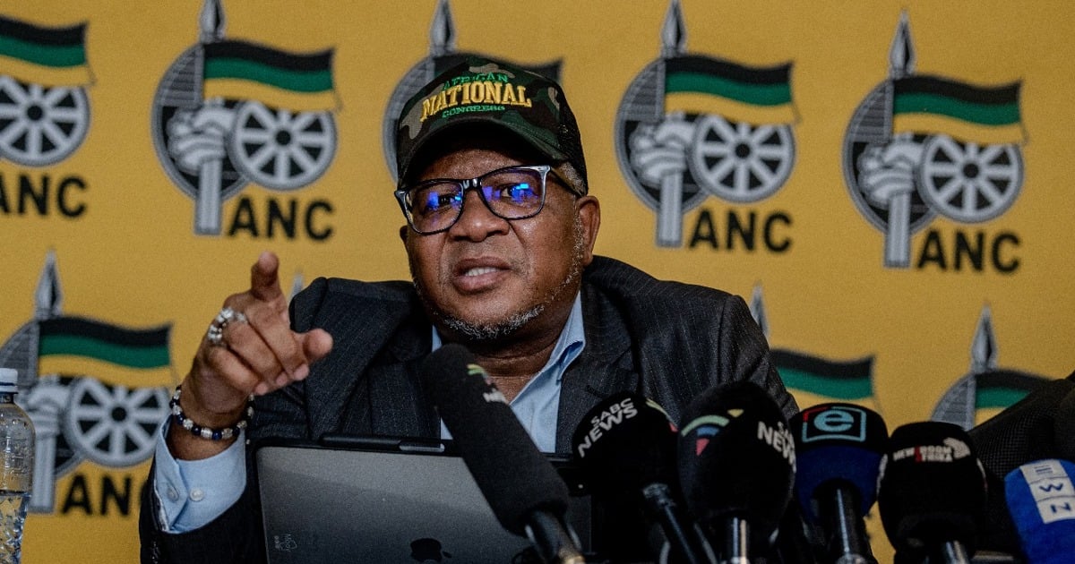 „Keine Fraktion kann gegen den ANC revoltieren“, sagt Mbalula