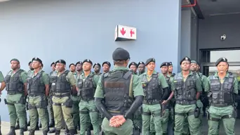 AmaPanyaza established without any legal mandate - Public protector report AmaPanyaza established without any legal mandate - Public protector report