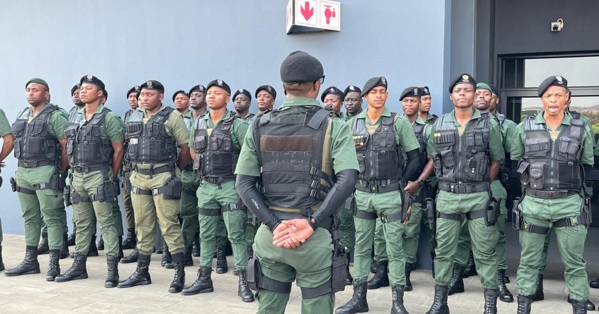 More than 9,000 Gauteng Crime Prevention Wardens officially declared peace ...