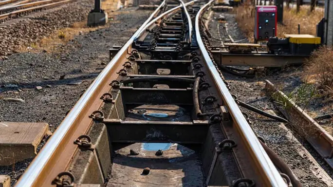 Creecy rejects claims that govt's plans to involve private sector in SA ...