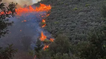 Firefighting crews battling Wolseley & Franschhoek fires; Montagu, De Doorns fires extinguished Firefighting crews battling Wolseley & Franschhoek fires; Montagu, De Doorns fires extinguished