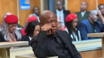 Malema remains in dock as Magistrate reviews evidence in firearm discharge case Malema remains in dock as Magistrate reviews evidence in firearm discharge case