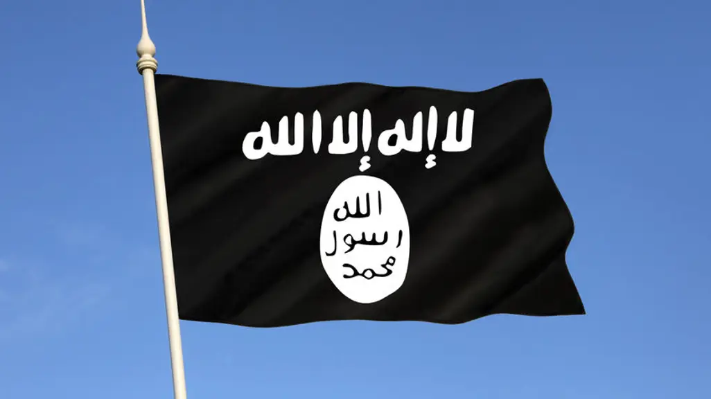 US launches Christmas Day strikes on IS targets in Nigeria