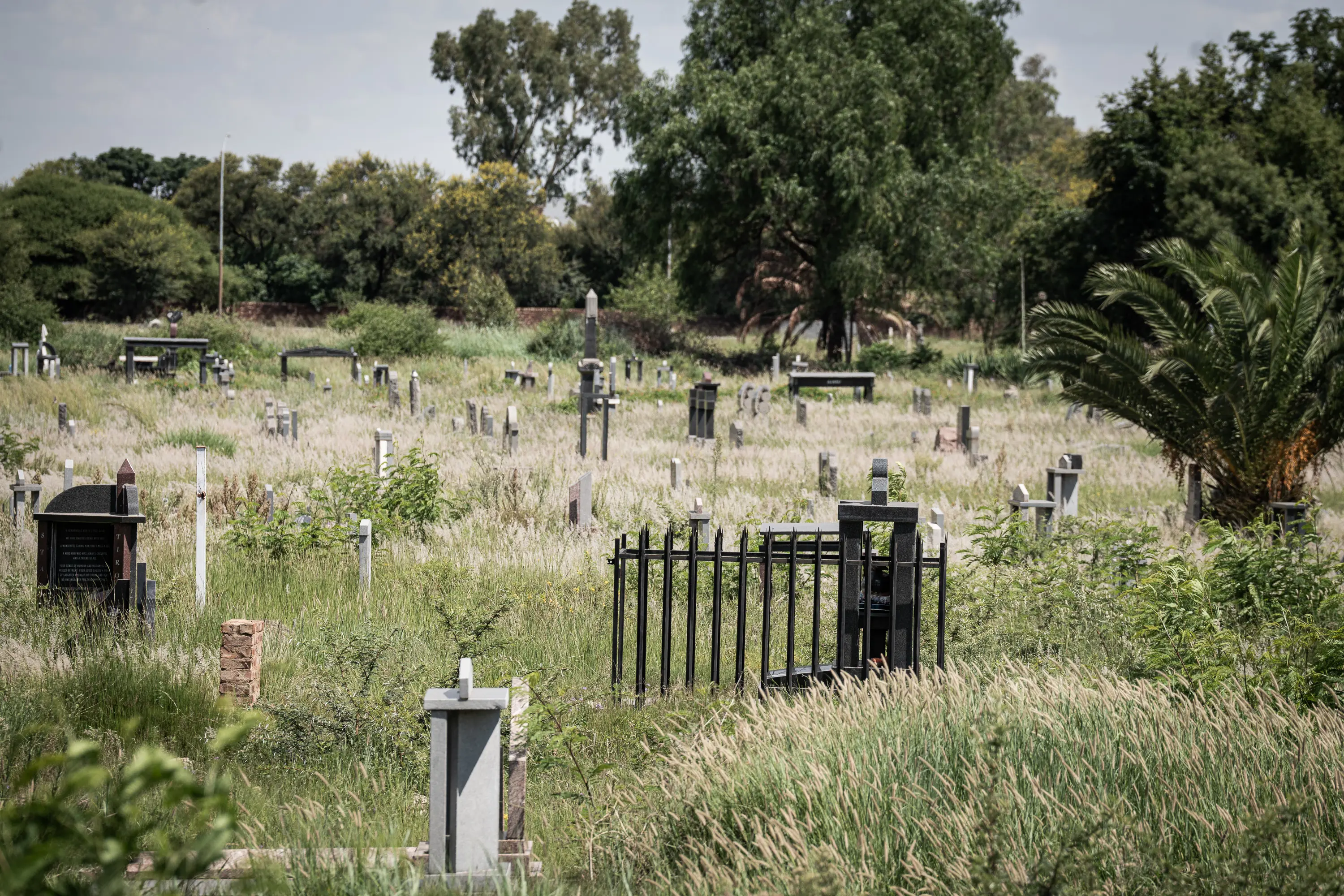 One of the issues plaguing Mahikeng in the North West is the lack of basic services, such as grass cutting. Cemeteries here are covered in long grass. Picture: Xanderleigh Dookey Makhaza/Eyewitness News One of the issues plaguing Mahikeng in the North West is the lack of basic services, such as grass cutting. Cemeteries here are covered in long grass. Picture: Xanderleigh Dookey Makhaza/Eyewitness News