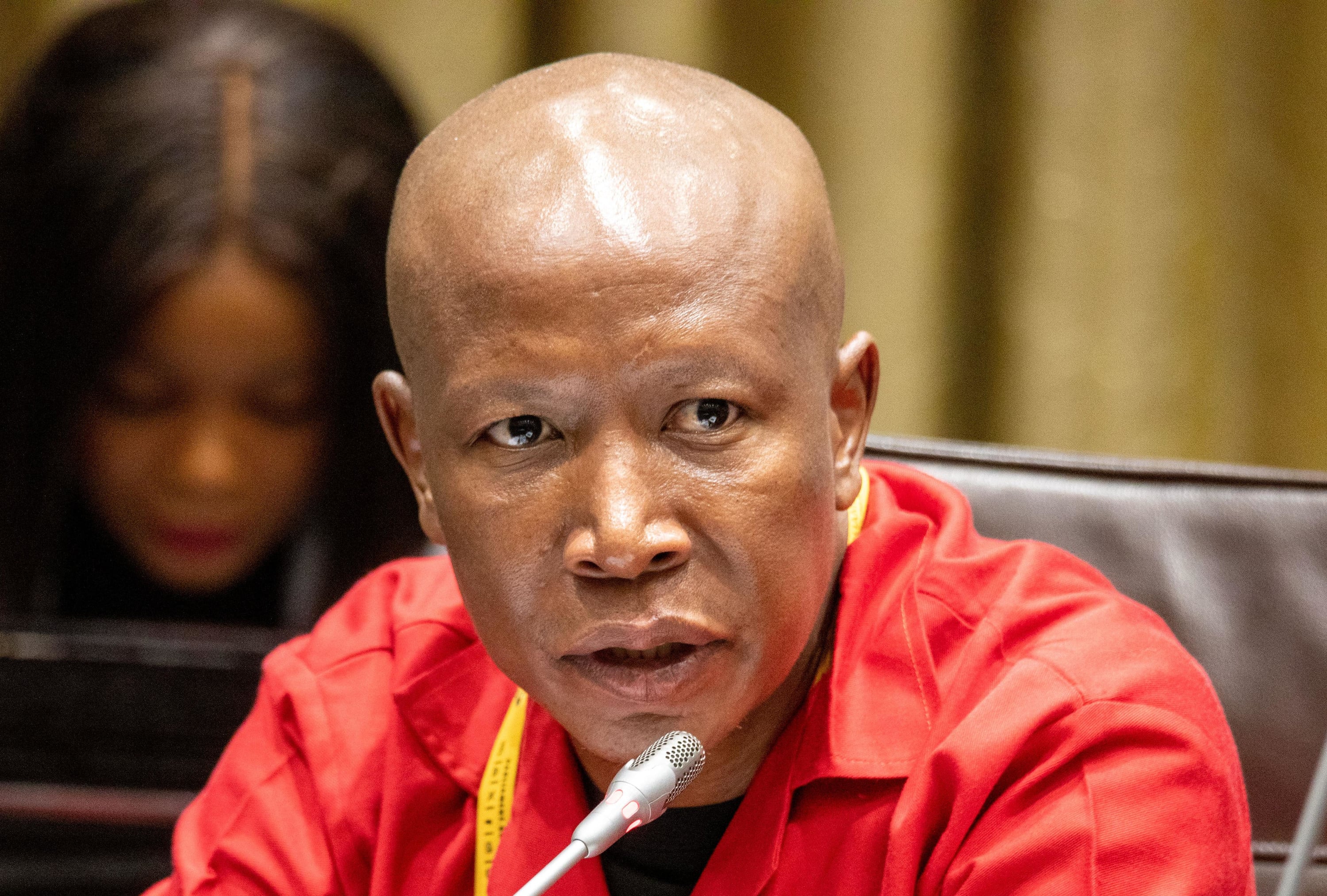 Malema wants Parly's ad hoc committee probing police corruption to summon  prisoners with relevant info