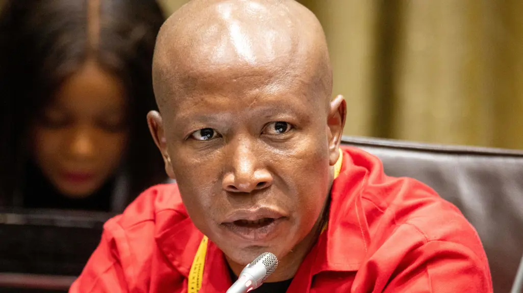 Malema wants Parly's ad hoc committee probing police corruption to summon prisoners with relevant info