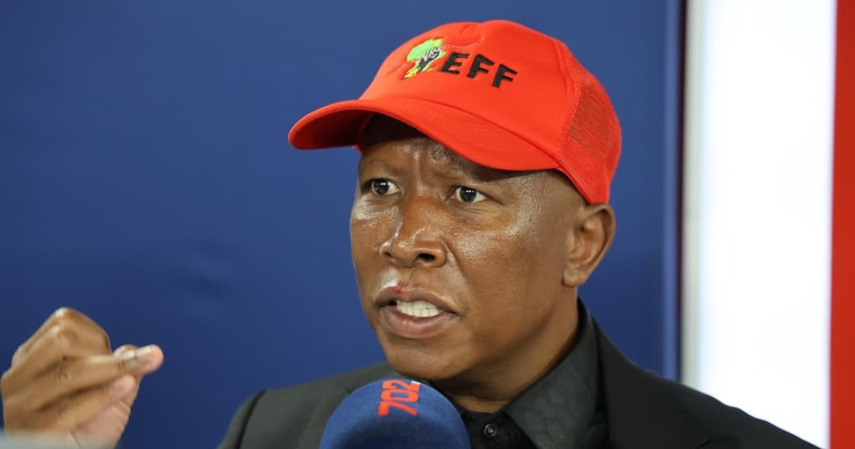 Eff Malema Defamation Claim Mchunu : ce qu'il faut savoir — image 1