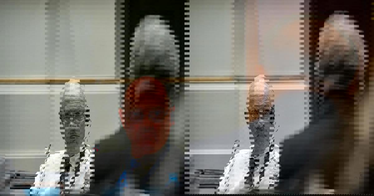 MPs bay for Paul O'Sullivan's blood after he abandoned cross-examination