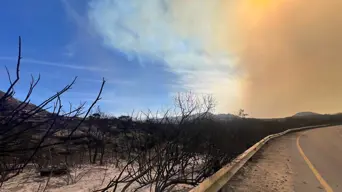 Suspected arson arrest highlights complex motives behind Cape Town wildfires Suspected arson arrest highlights complex motives behind Cape Town wildfires