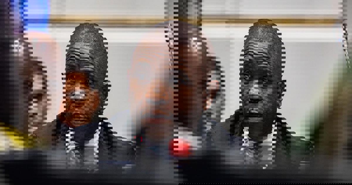 Mkhwanazi tells Ad Hoc Committee that only police can guarantee his  family's safety