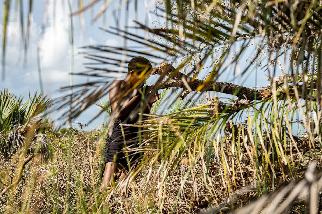 Londi Mbonambi wipes the sweat dripping from her face as she collects wood a few kilometres from their home. The wood is used for fire to cook, boil water and heat their old fashioned coal iron. Picture: Xanderleigh Dookey-Makhaza/Eyewitness News Londi Mbonambi wipes the sweat dripping from her face as she collects wood a few kilometres from their home. The wood is used for fire to cook, boil water and heat their old fashioned coal iron. Picture: Xanderleigh Dookey-Makhaza/Eyewitness News