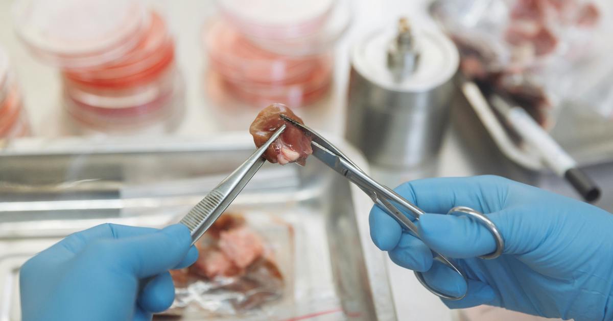 Lab-grown meat: ‘They're not replacing meat, they're meeting a demand'