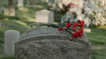 New online tool helps South Africans prepare for practical side of death New online tool helps South Africans prepare for practical side of death