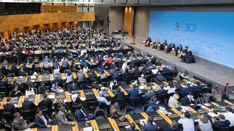 SA's obstructionist attitude at WTO is 'embarrassing' - business journo Carol Paton explains SA's obstructionist attitude at WTO is 'embarrassing' - business journo Carol Paton explains