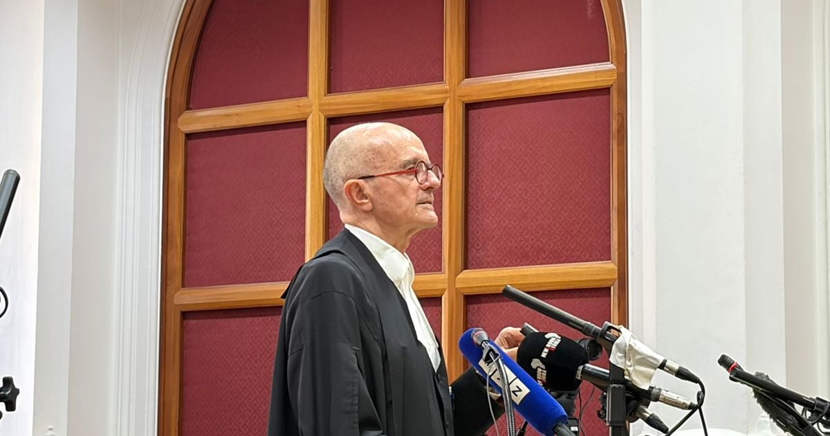Ramaphosa rejects 'populist slogans' in Phala Phala court challenge