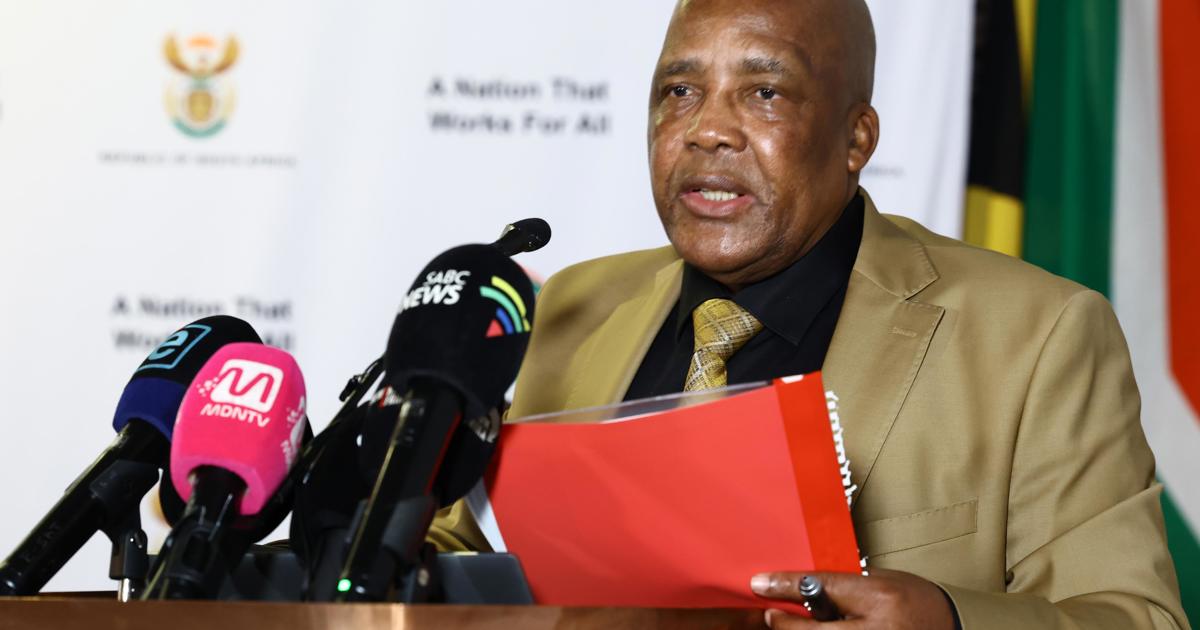 Chemicals in menstrual products ‘cannot be completely avoided or removed’ - Motsoaledi - EWN