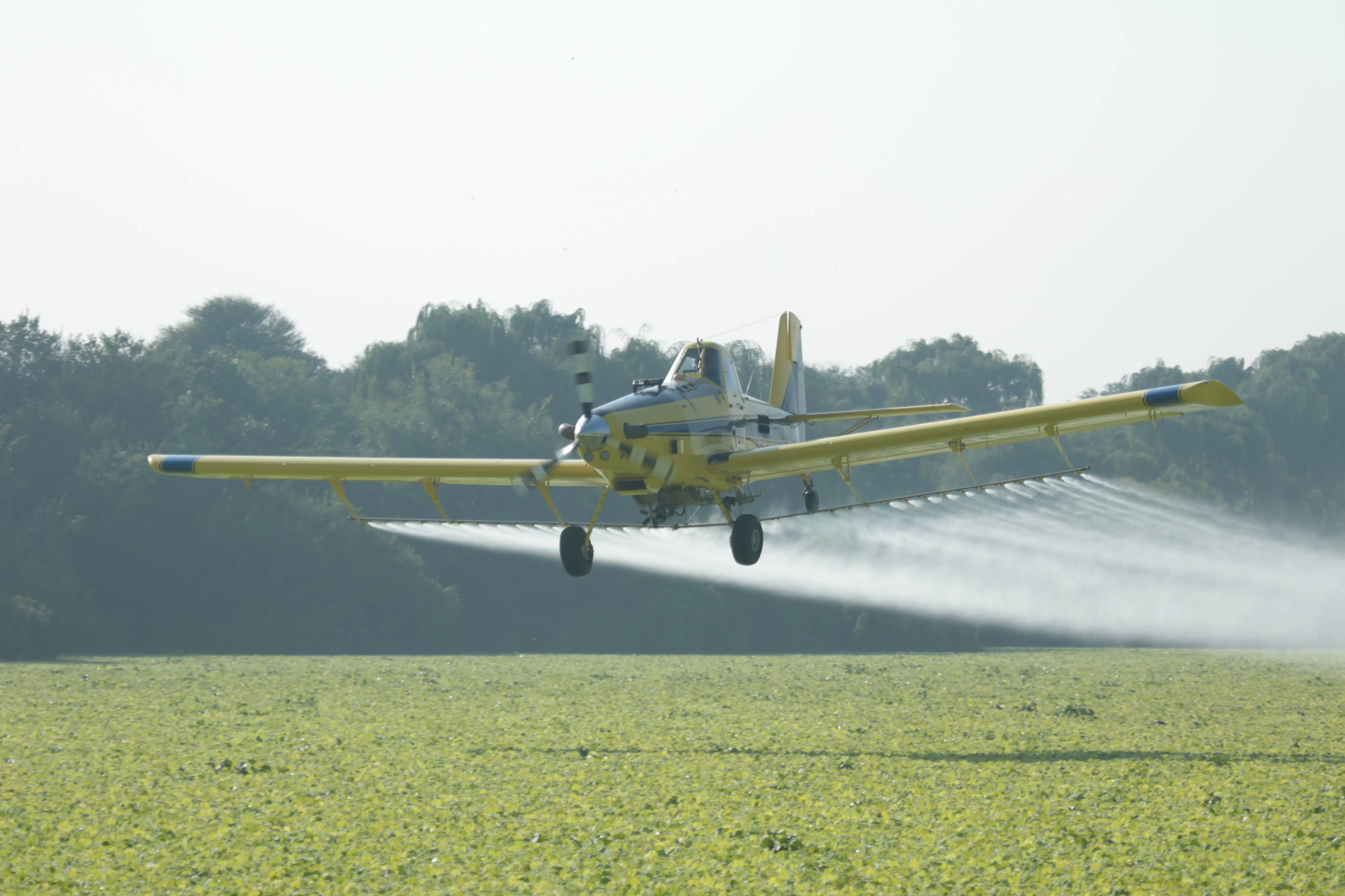 A plane sprays glyphosate-based herbicides on water lettuce infestations in the Vaal River. Picture: Supplied/Cameron Mundy A plane sprays glyphosate-based herbicides on water lettuce infestations in the Vaal River. Picture: Supplied/Cameron Mundy