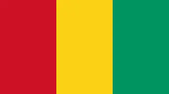 Guinea's junta suspends three main political parties Guinea's junta suspends three main political parties