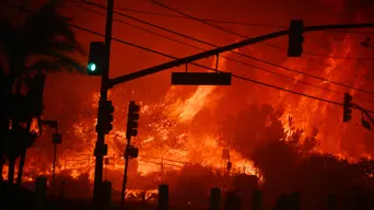 Los Angeles fires ‘strikingly similar’ to 2017 Knysna blaze – Working on Fire Los Angeles fires ‘strikingly similar’ to 2017 Knysna blaze – Working on Fire