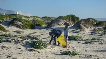 Two Oceans Aquarium calls on Capetonians to help clean up Sunset Beach this Mandela Day Two Oceans Aquarium calls on Capetonians to help clean up Sunset Beach this Mandela Day