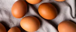 Why the humble egg holds the key to upping your protein game Why the humble egg holds the key to upping your protein game