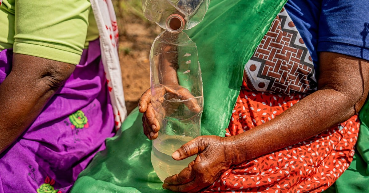FEATURE |‘ We won’t vote without water’: Limpopo villagers forced to drink from filthy puddle - EWN