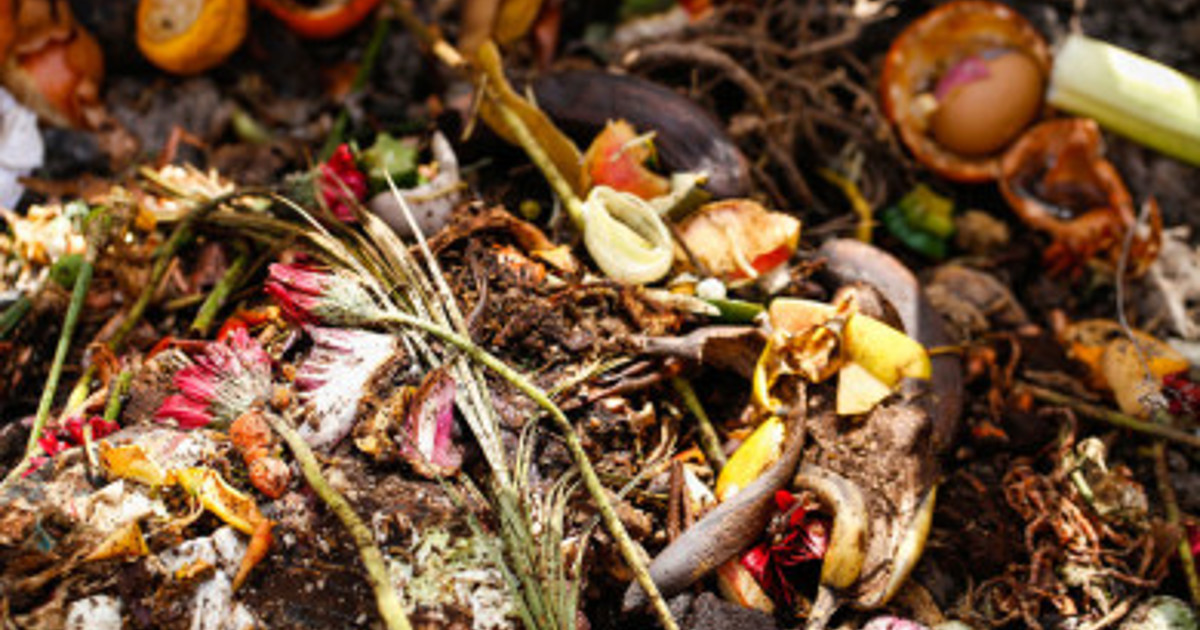 How to start composting in your backyard