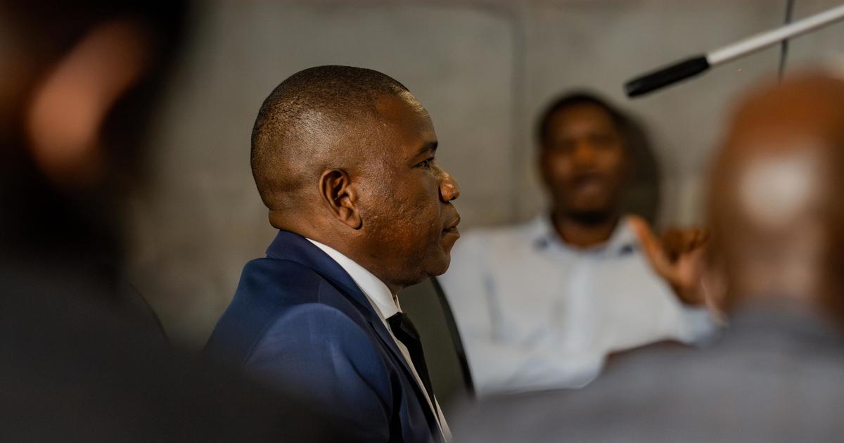 Mkhwanazi alleges ex-police minister Nathi Mthethwa forced former ...