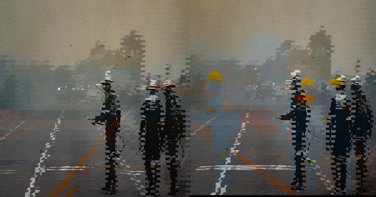 Overberg farmers say impact of WC wildfires will extend far beyond ...