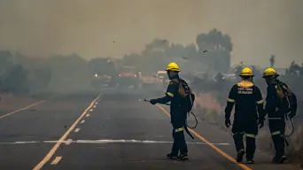 Overberg farmers say impact of WC wildfires will extend far beyond immediate damage Overberg farmers say impact of WC wildfires will extend far beyond immediate damage