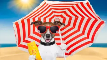 WEATHER: Cape Town set for very warm, partly cloudy Thursday WEATHER: Cape Town set for very warm, partly cloudy Thursday