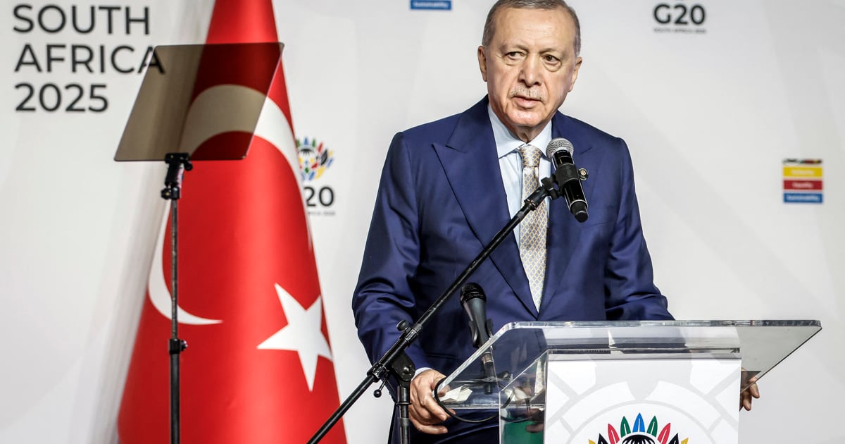 Turkish President Erdoğan lauds SA govt for throwing weight behind Palestinians