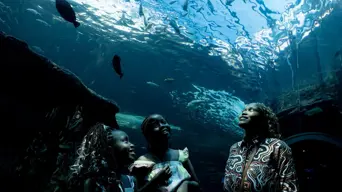 Why Two Oceans Aquarium's work with PEOPLE is important in our unequal society Why Two Oceans Aquarium's work with PEOPLE is important in our unequal society
