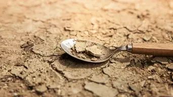 Child deaths due to hunger in Eastern Cape has doubled since 2023 - SA Human Rights Commission Child deaths due to hunger in Eastern Cape has doubled since 2023 - SA Human Rights Commission