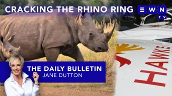 The day that was: Cleaning JHB courtesy of G20, Hawks crack rhino horn gang, Gayton won’t apologise The day that was: Cleaning JHB courtesy of G20, Hawks crack rhino horn gang, Gayton won’t apologise