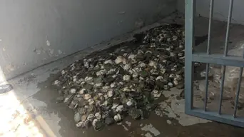 4 suspects to appear in court for being found in possession of abalone worth over R45k 4 suspects to appear in court for being found in possession of abalone worth over R45k